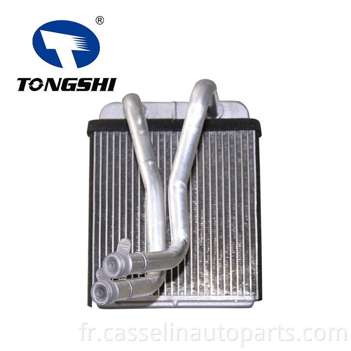 Core de chauffage de Tongshi de haute qualité pour le salon Kiashuma (96-01) OEM OK2A1.61.A10 pour voiture